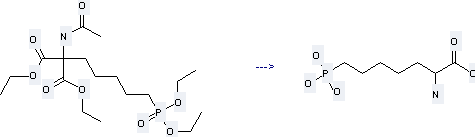 DL-2-Amino-7-phosphonoheptanoic acid can be prepared by 2-acetylamino-2-[5-(diethoxy-phosphoryl)-pentyl]-malonic acid diethyl ester
